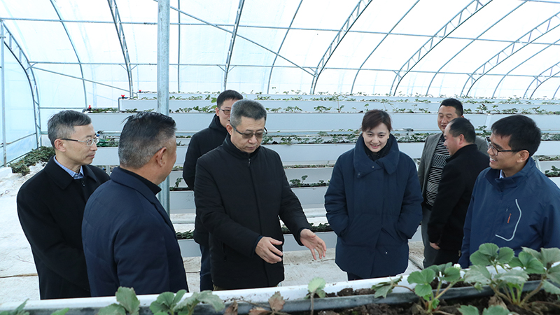 k豆钱包官方网站 - kdpay钱包