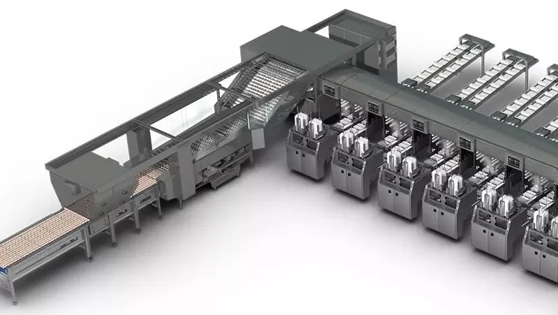 k豆钱包官方网站 - kdpay钱包